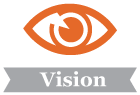 Vision image